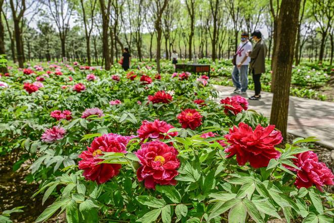 -2：三大+书市+特色小镇打卡文旅新地标AG真人平台app120小时玩转副中心(图2)