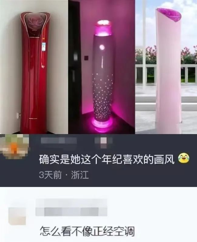 调”曝光网友：比玫瑰款更让人绷不住！AG真人游戏第一品牌董明珠“老人味空(图3)